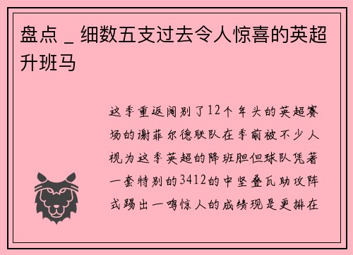 盘点 _ 细数五支过去令人惊喜的英超升班马